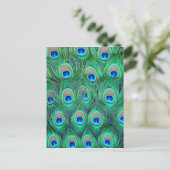 Peacock Feathers Briefkaart (Staand voorkant)