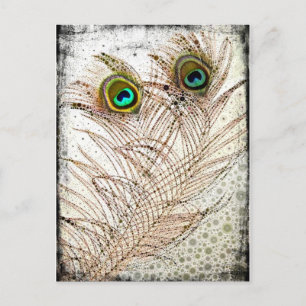 Peacock Feathers Briefkaart