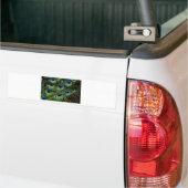 Peacock Feathers Bumpersticker (Op Truck)
