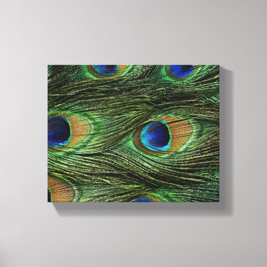 Peacock Feathers Canvas Afdruk (Voorkant)