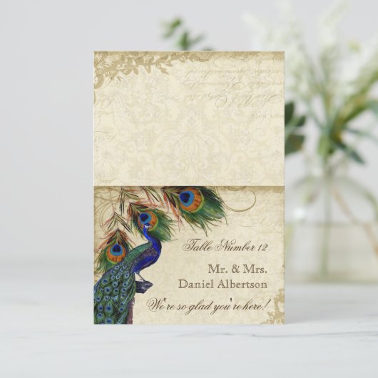 Peacock & Feathers Cartes Formelles do-it-yourself (Debout devant)