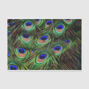 Peacock Feathers-debetpapier Tissuepapier