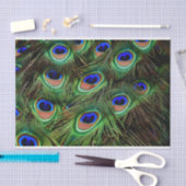 Peacock Feathers-debetpapier Tissuepapier (Craft)