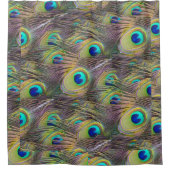 Peacock Feathers Douche rideau (Devant)