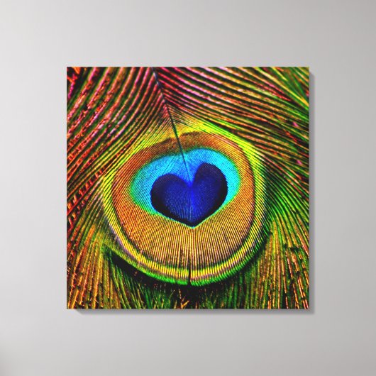 Peacock Feathers Eye of Love Canvas Afdruk (Voorkant)