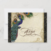 Peacock & Feathers Formal RSVP Réponse Tan Noir (Devant)