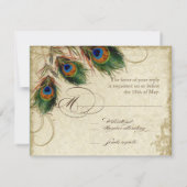 Peacock & Feathers Formal RSVP Réponse Tan Noir (Dos)