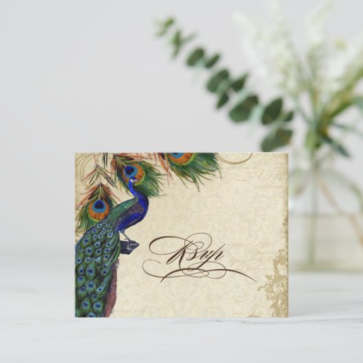 Peacock & Feathers Formal RSVP Response Cream (Debout devant)