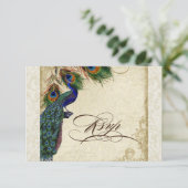 Peacock & Feathers Formal RSVP Response Cream (Debout devant)