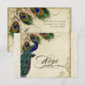 Peacock & Feathers Formal RSVP Response Cream (Devant / Derrière)