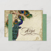 Peacock & Feathers Formele RSVP Reactie Groen Tan (Voorkant / Achterkant)