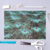  Peacock Feathers foto Tissuepapier (Craft)