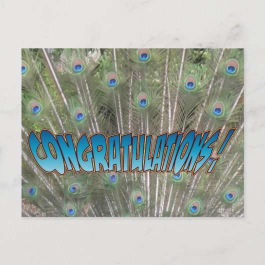 Peacock Feathers Gefeliciteerd Briefkaart Blauw (Voorkant)