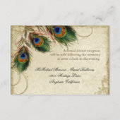 Peacock & Feathers Gold Kijk Damask Swirl Informatiekaartje (Achterkant)