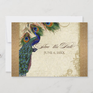Peacock & Feathers  Gold Kijk Damask Swirl Save The Date