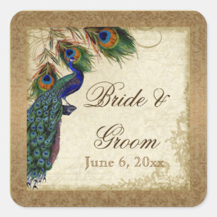 Peacock & Feathers Gold Kijk Damask Swirl Vierkante Sticker