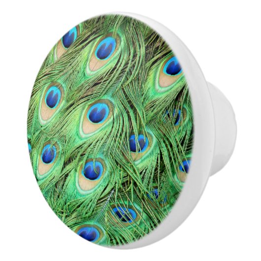 Peacock Feathers Green Bird Drawer Pulls Knols Keramische Knop (Rechts)