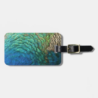 Peacock Feathers I Colorful Abstract Natuur Design Bagagelabel