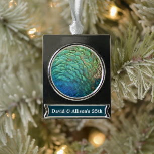 Peacock Feathers I Colorful Abstract Natuur Design Verzilverd Banner Ornament