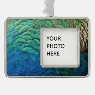 Peacock Feathers I Colorful Abstract Natuur Design Verzilverd Kader Ornament