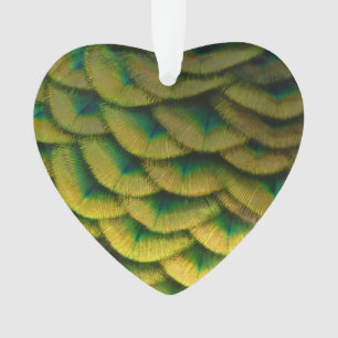 Peacock Feathers II Colorful Natuur Ornament