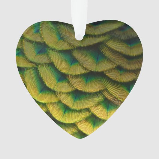 Peacock Feathers II Colorful Natuur Ornament (voorkant)