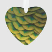 Peacock Feathers II Colorful Natuur Ornament (achterkant)