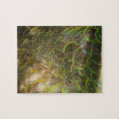 Peacock Feathers III (Vrouw) Subtle Natuur Design Legpuzzel (Horizontaal)