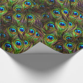 Peacock Feathers Invasion Cadeaupapier (Hoek)