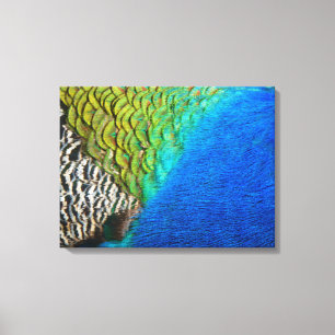 Peacock Feathers IV Kleurrijke Abstracte Natuur Canvas Afdruk