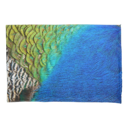 Peacock Feathers IV Kleurrijke Abstracte Natuur Kussensloop (Voorkant)