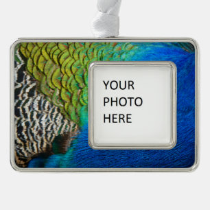 Peacock Feathers IV Kleurrijke Abstracte Natuur Verzilverd Kader Ornament