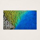 Peacock Feathers IV Kleurrijke Abstracte Natuur Visitekaartje (Achterkant)