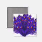 Peacock Feathers Magneet (Voorkant / Achterkant)