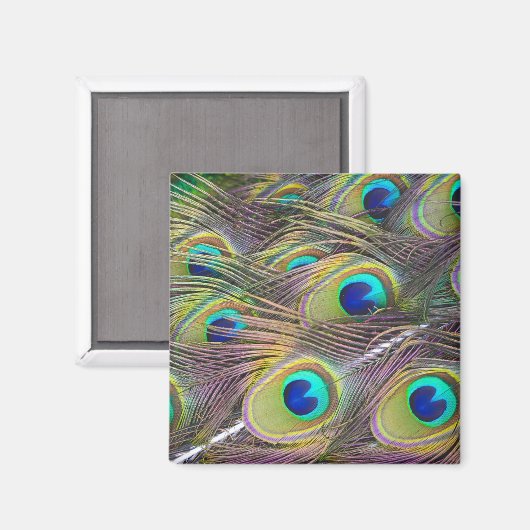 Peacock Feathers Magneet (Voorkant / Achterkant)
