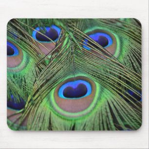 Peacock Feathers Muismat