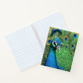Peacock Feathers Notitieboek (Binnen)
