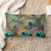 Peacock Feathers Oiseau Jeu décoratif Oreiller (Couverture)