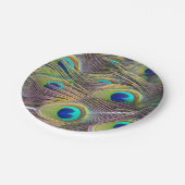 Peacock Feathers Papieren Bordje (Gekanteld)