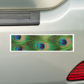 Peacock Feathers - Peafowl Bumpersticker (Op auto)