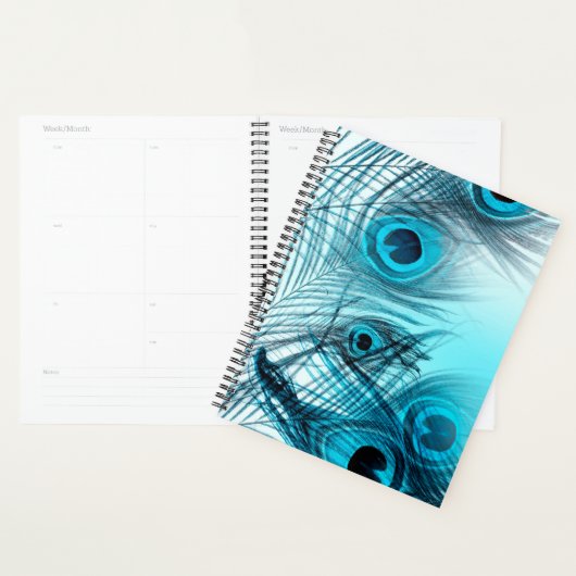 Peacock Feathers Planner (Display)