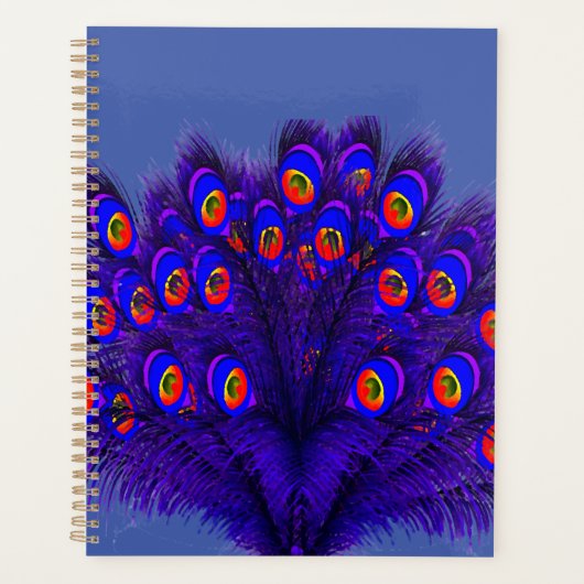 Peacock Feathers Planner (Voorkant)