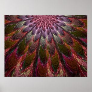 Peacock Feathers Poster