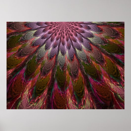 Peacock Feathers Poster (Voorkant)