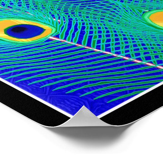 Peacock Feathers Poster Print (Hoek)