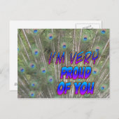 Peacock Feathers Proud Postcard Briefkaart (Voorkant / Achterkant)