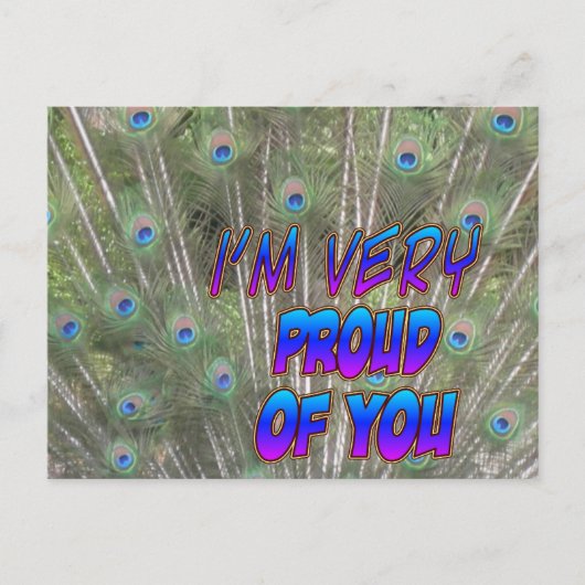 Peacock Feathers Proud Postcard Briefkaart (Voorkant)