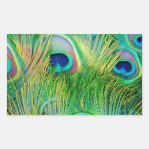 Peacock Feathers Rechthoekige Sticker