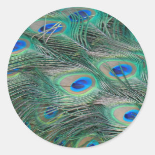 Peacock Feathers Ronde Sticker