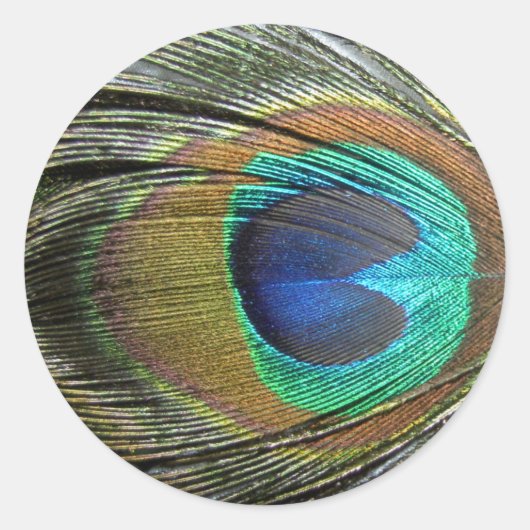 Peacock Feathers Ronde Sticker (Voorkant)